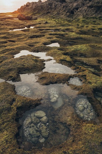 Water Textures on Ground