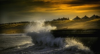 Water Wave