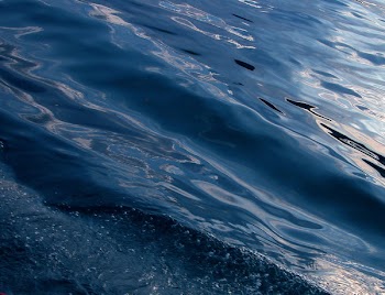water1texture.jpg