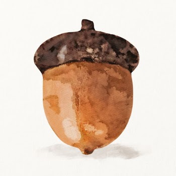 Watercolor acorn illustration  | Free Photo Illustration - rawpixel