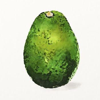 Watercolor avocado illustration, fruit drawing | Free Photo Illustration - rawpixel