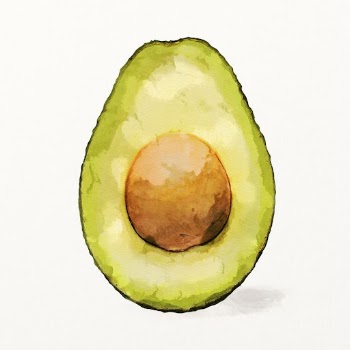Watercolor avocado illustration, fruit drawing | Free Photo Illustration - rawpixel