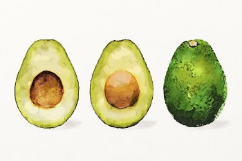 Watercolor avocadoes illustration, fruit drawing | Free Photo Illustration - rawpixel