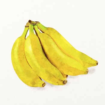 Watercolor banana illustration, fruit drawing | Free Photo Illustration - rawpixel