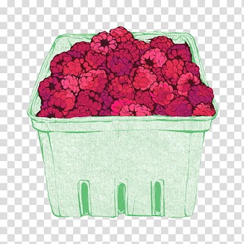 WaterColor, basket of raspberries transparent background PNG clipart