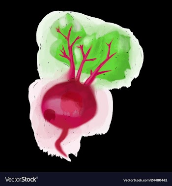 Watercolor beet eco food menu background vector image
