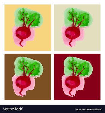 Watercolor beet eco food menu background vector image