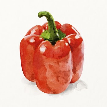 Watercolor bell pepper illustration, vegetable | Free Photo Illustration - rawpixel
