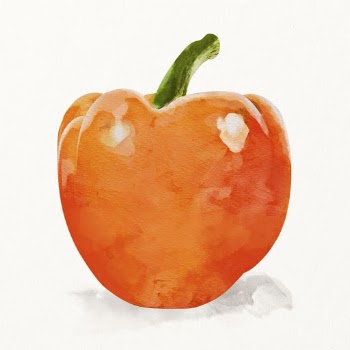 Watercolor bell pepper illustration, vegetable | Free Photo Illustration - rawpixel
