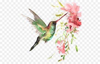 Watercolor bird 