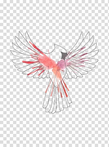 Watercolor Bird s, red cardinal bird transparent background PNG clipart