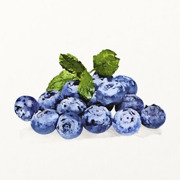 Watercolor blueberry clipart, antioxidant fruit | Free Photo Illustration - rawpixel