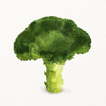 Watercolor broccoli illustration, vegetable drawing | Free Photo Illustration - rawpixel