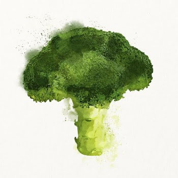 Watercolor broccoli illustration, vegetable drawing | Free Photo Illustration - rawpixel