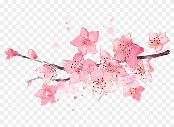 Watercolor Cherry 2776*2392 Transprent Png Free Download - Squishy Seal Pink