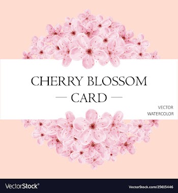 Watercolor cherry blossom wedding invitation vector image
