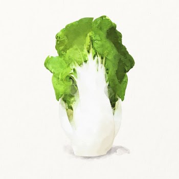 Watercolor Chinese cabbage illustration, vegetable | Free Photo Illustration - rawpixel