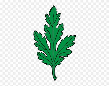 Watercolor Chrysanthemum, Cartoon, Hand Painted, Watercolor - Green Leaf Clip Art