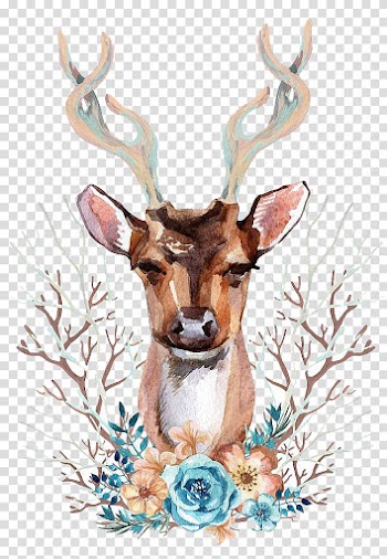 Watercolor deer transparent background PNG clipart