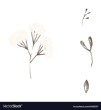 Watercolor design element bird banners and vector image