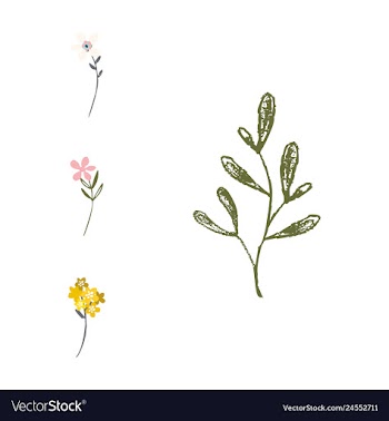 Watercolor design element bird banners and vector image