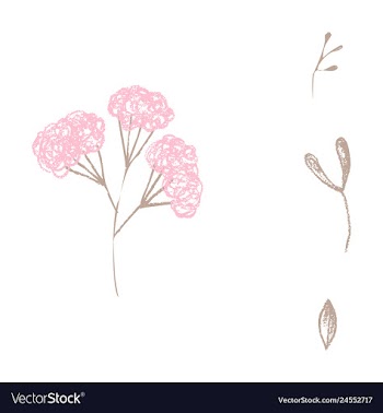 Watercolor design element bird banners and vector image