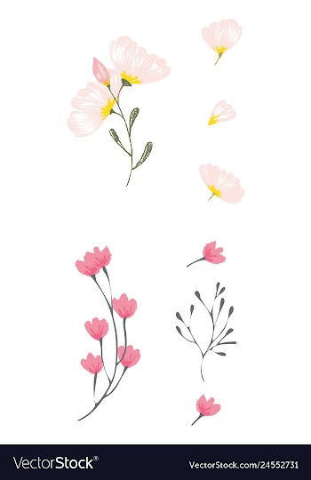 Watercolor design element bird banners and vector image