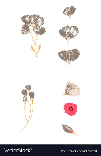 Watercolor design element bird banners and vector image