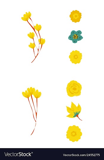 Watercolor design element bird banners and vector image