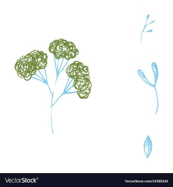 Watercolor design element bird banners and vector image