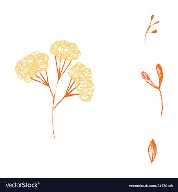 Watercolor design element bird banners and vector image