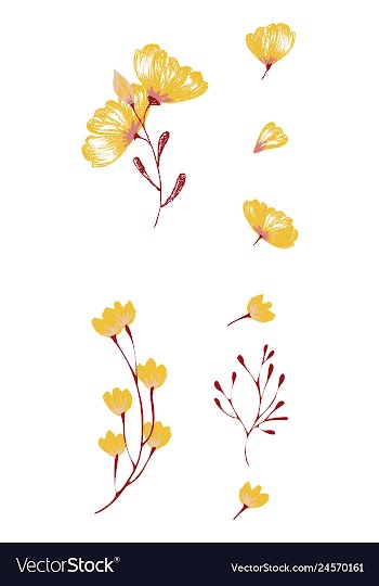 Watercolor design element bird banners and vector image