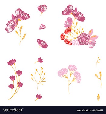 Watercolor design element bird banners and vector image