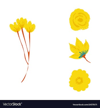 Watercolor design element bird banners and vector image