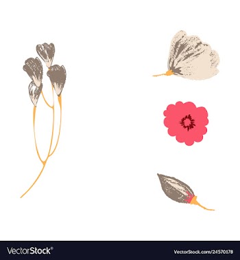 Watercolor design element bird banners and vector image