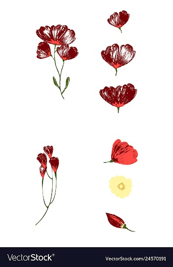 Watercolor design element bird banners and vector image