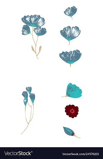 Watercolor design element bird banners and vector image