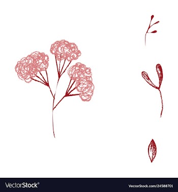 Watercolor design element bird banners and vector image