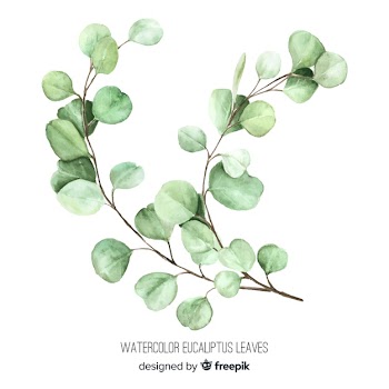 Watercolor eucalyptus branch Free Vector