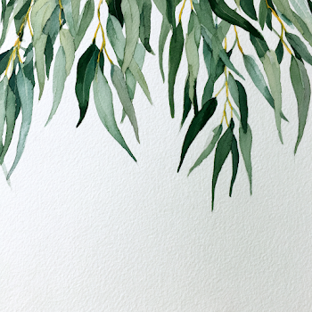 Watercolor Eucalyptus Leaves Cascade
