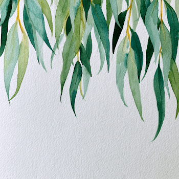 Watercolor Eucalyptus Leaves on White Background
