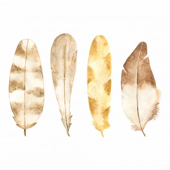Watercolor feather set isolated on white Free Vector