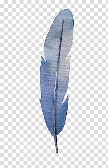 Watercolor feather transparent background PNG clipart
