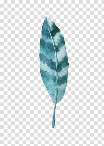 Watercolor feather transparent background PNG clipart