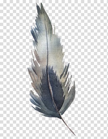 Watercolor feather transparent background PNG clipart