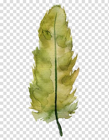 Watercolor feather transparent background PNG clipart