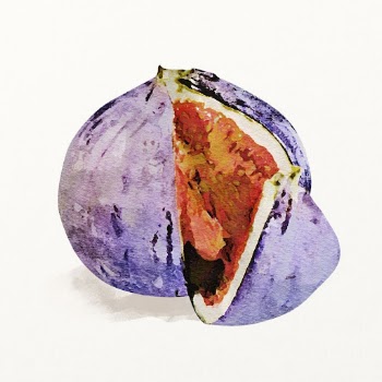 Watercolor fig illustration, fruit drawing | Free Photo Illustration - rawpixel