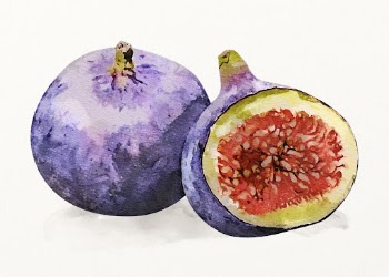 Watercolor figs illustration, fruit drawing | Free Photo Illustration - rawpixel