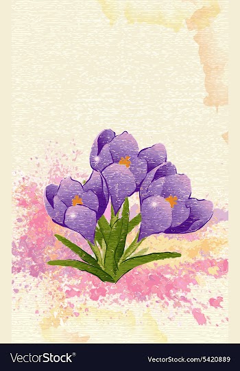 Watercolor floral background vector image