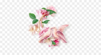 Watercolor Floral Clipart Watercolor Flowers Floral - Cluster Flowers Frames Png